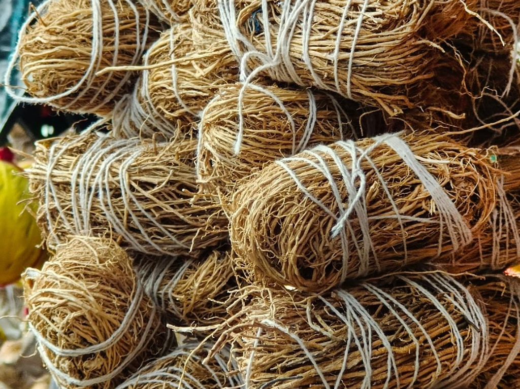 Vetiver roots